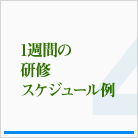 1週間の研修スケジュール（例）